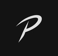 Palestra Academy Pisanti